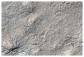 Spider Terrain