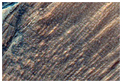 Gully Monitoring Site