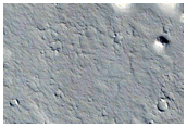 Many Small Cones in Amazonis Planitia