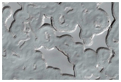 Polar Cap Seasonal Monitoring Site