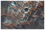 Possible MSL Rover Landing Site near Terby Crater