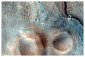 Possible Rootless Cones in Acidalia Planitia