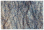Pitted Terrain