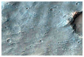 Gullied Crater Wall near Sirenum Fossae