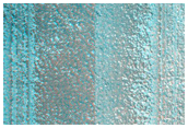 Northern Hemisphere Gullies Seasonal Monitoring