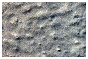 Monitor Seasonal Changes at a South Polar Cracked and Gullied Site