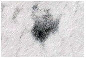 Possible Polar Patchy Ice