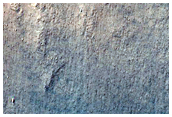Gullied Crater and Bedforms in the Nereidum Montes