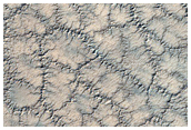 Polar Spider Trough Network
