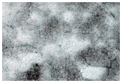 South Polar Monitoring