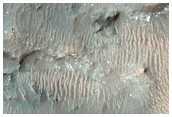 Active Gullies