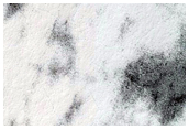 Possible Polar Patchy Ice