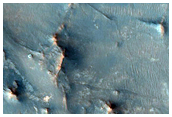 Noachian Bedrock Diversity