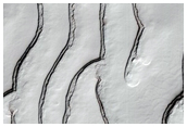 South Pole Residual Cap Monitoring Site