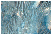 Central Uplift of a Large Impact Crater