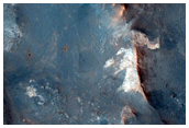 CRISM Detection of Olivine in Syrtis Major