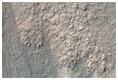 Gullies and Lobate Material in Nereidum Montes