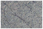 Terrain Sample