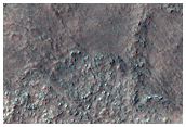 Possible Olivine-Rich Terrain North of Argyre Planitia