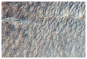 Young Gully on Older Filled Gullies