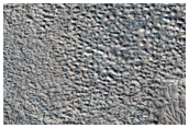 Small Well-Preserved Impact Crater in Arcadia Planitia