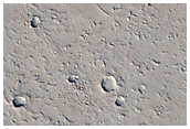 Recent Impact Crater