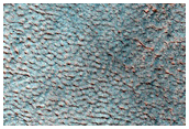 Possible Olivine-Rich Terrain in Utopia Planitia