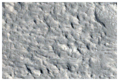 Inverted River Meanders and Possible MSL Rover Landing Site