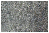South Polar Crater