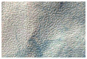 Gullies and Dune Gullies