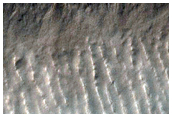 Linear Gully in Hellas Basin Region