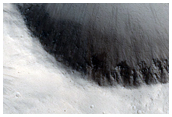 Possible Dendritic Flows in Kasei Valles