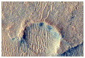 Possible MSL Rover Landing Site