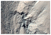 Large Gully Alcove in Ross Crater