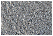 Candidate New Impact Site Formed between August 2010 and May 2011