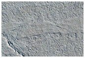 Possible Rafted Lava Crust in Tartarus Colles