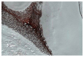 South Pole Residual Cap