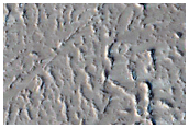 Candidate New Impact Site Formed between February 2008 and October 2010