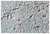 Gullied Crater Wall