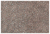 Scarp Likely Exposing Polar Layered Deposits in Area Not Well Observed