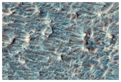 Possible Olivine in a Crater Floor
