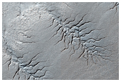 A Forest of Channels on the South Polar Layered Deposits