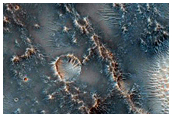Crater with Possible Icy Flow Fill