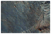 Olivine-Rich Terrain in Nilosyrtis Region