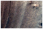 Layered Material in Melas Chasma