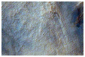 Gullies in Resistant Layers of Crater Wall