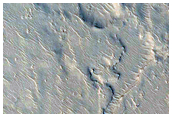 Branched Out Slope Lineae