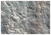 Crater with Concentric Ridges in Ejecta