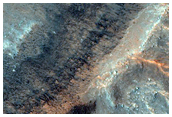 Possible Olivine Exposure in a Crater within a Crater