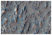 Possible Olivine in Crater Floor in Noachis Terra